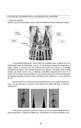 La spiritualité universelle de 3 cathédrales alchimiques